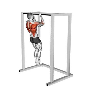 Bent Arms Chin Up