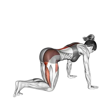 Bent Knee Back to Side Kick
