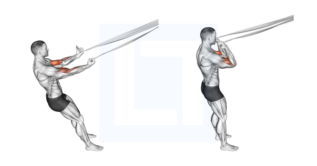 Biceps Curl With Bed Sheet
