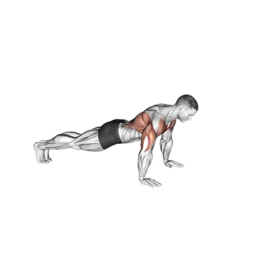 Bird Dog Push Up