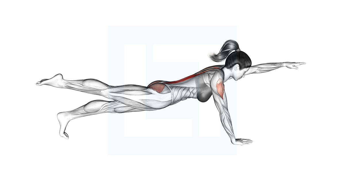 Side Bridge Guide Benefits And Form