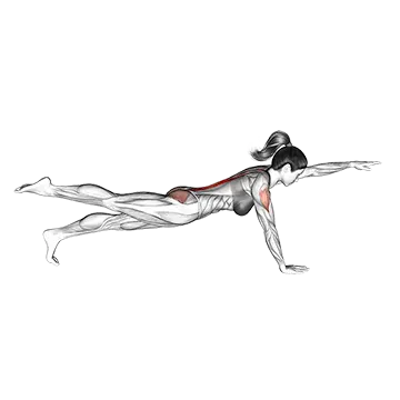 Best Calisthenics Workouts Bird Dog