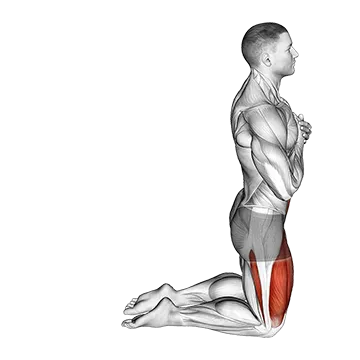 Best Upper Body Workouts At Home Body Extension