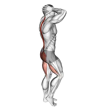 Bodyweight B Stance Good Morning