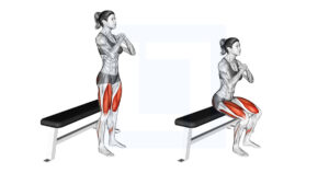 Squat - Guide, Benefits, and Form