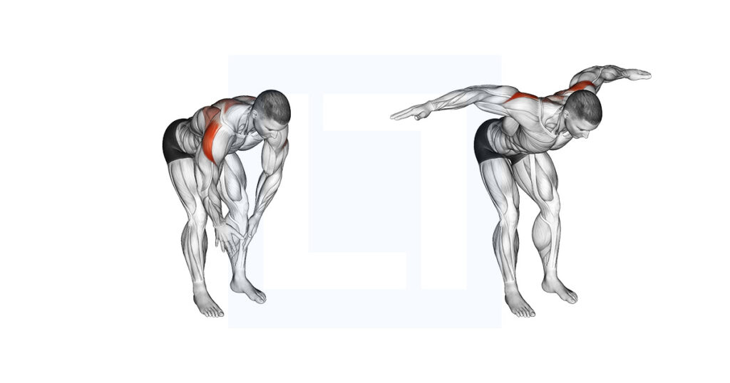 Bodyweight Bent Over Rear Delt Fly