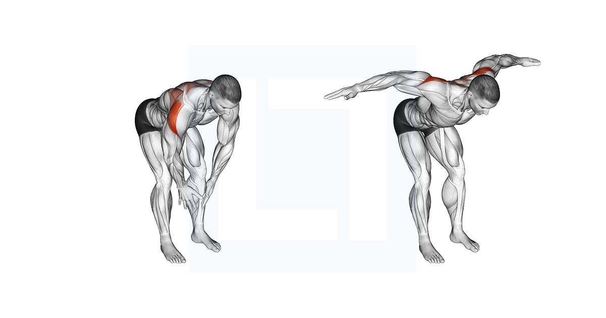 Bodyweight Bent Over Rear Delt Fly