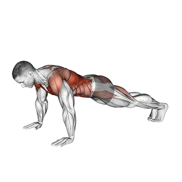 Bodyweight Front Plank to Downward Dog