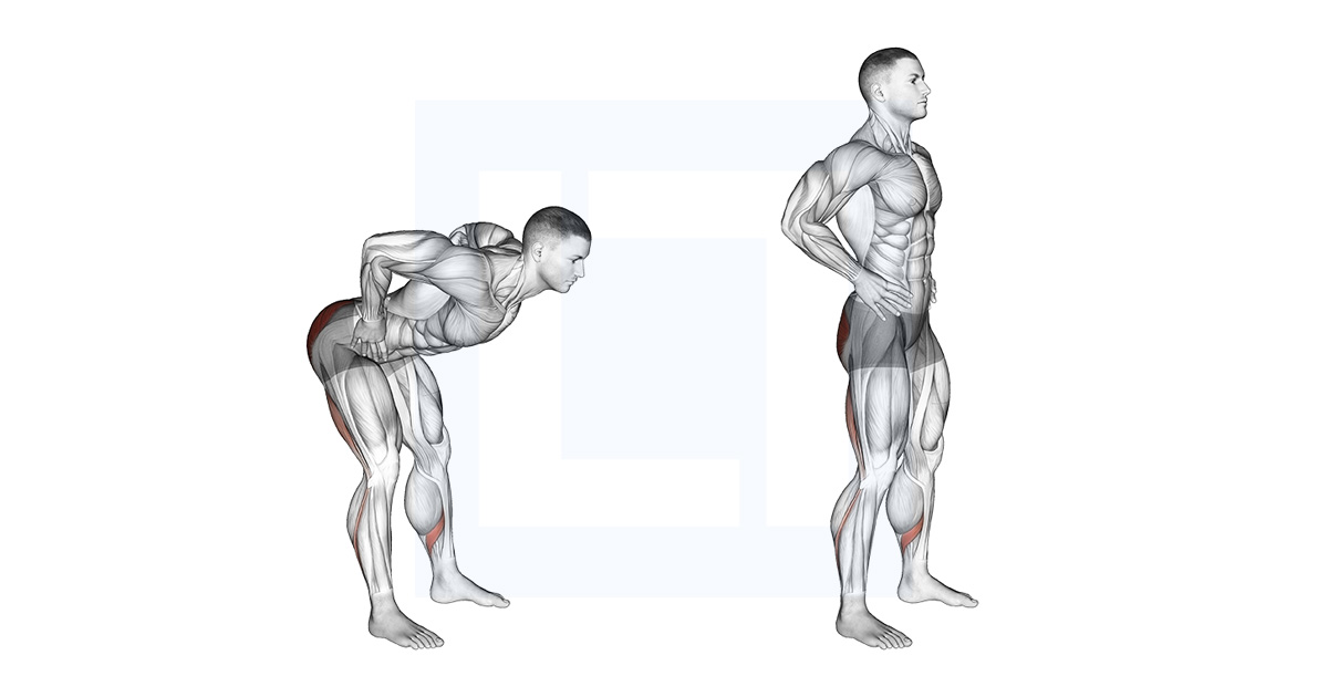 Bodyweight Good Morning Unloaded Hip Hinge Bodyweight Good Morning Unloaded Hip Hinge