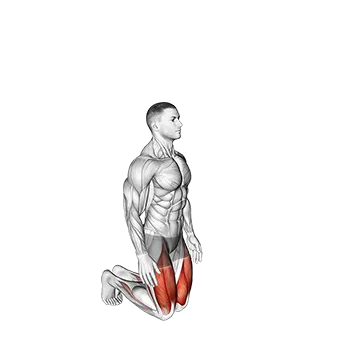 Bodyweight Kneeling Hold to Stand