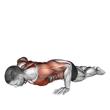 Bodyweight Kneeling Push Up Row