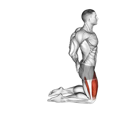 Best Bodyweight Quad Workouts Bodyweight Kneeling Sissy Squat