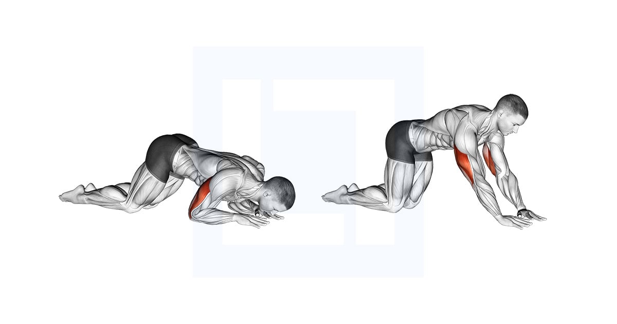 Bodyweight Kneeling Triceps Extension