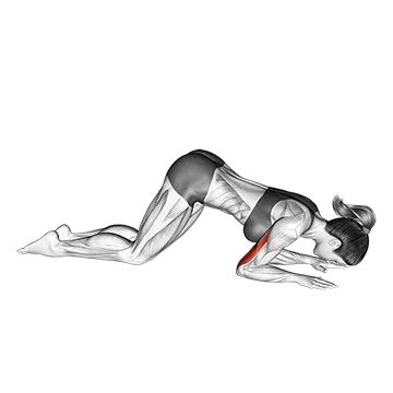 Bodyweight Kneeling Triceps Extension