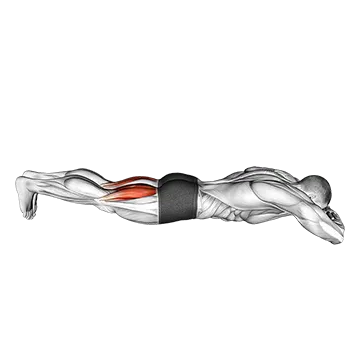 Best Bodyweight Hamstring Workouts Bodyweight Lying Legs Curl