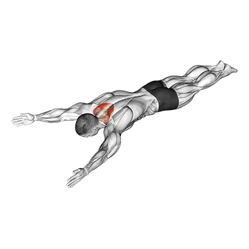 Bodyweight Lying Prone Ys