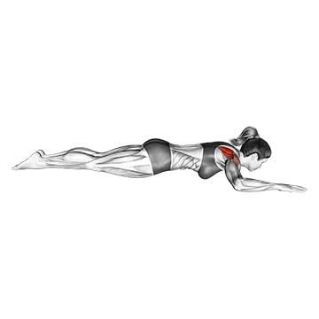 Best At Home Shoulder Workouts Bodyweight Lying Shoulder External Rotation