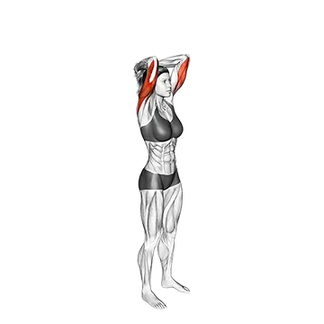 Best Bodyweight Chest Workouts Bodyweight Overhead Triceps Extension