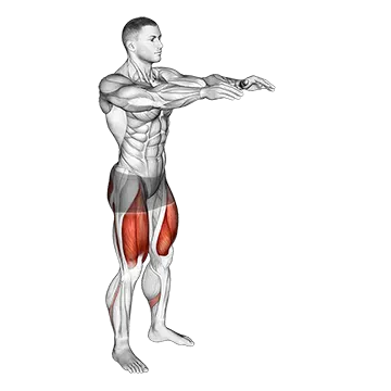 Bodyweight Pulse Squat