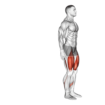 Best Workouts For Beginners At Home Bodyweight Rear Lunge