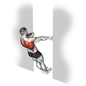 Best Calisthenics Back Workouts Bodyweight Row In Doorway