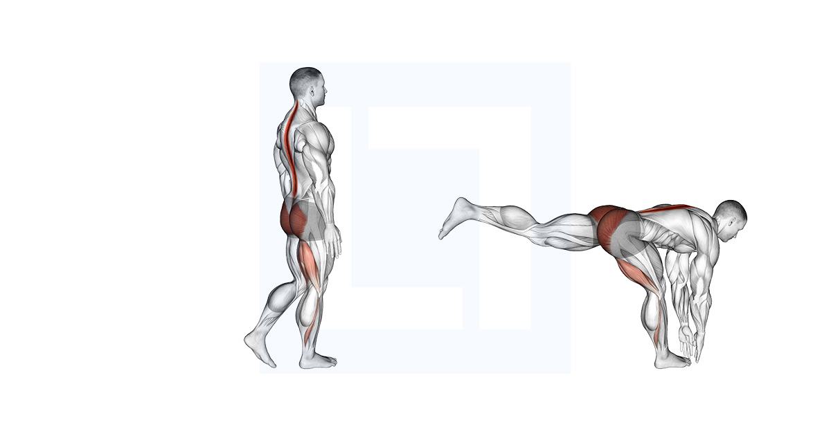 Dumbbell Staggered Stance Romanian Deadlift Guide Benefits And Form