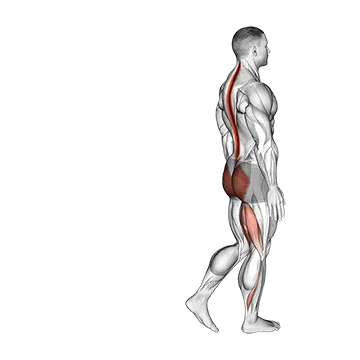 Best Bodyweight Leg Workouts Bodyweight Single Leg Rdl