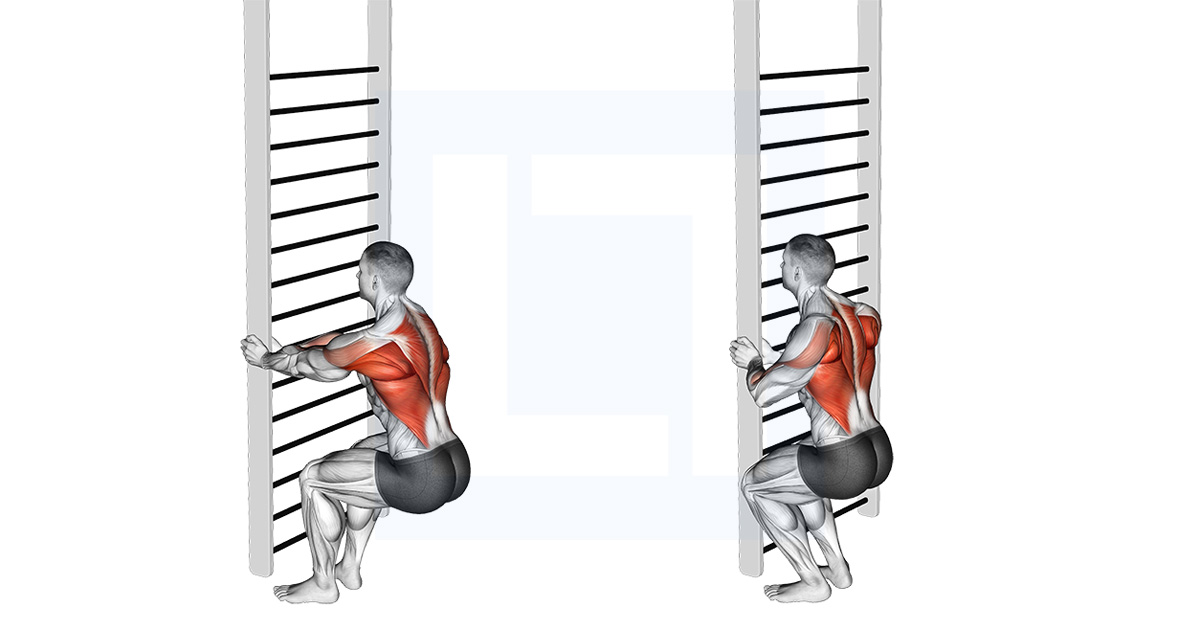 Bodyweight Squatting Row