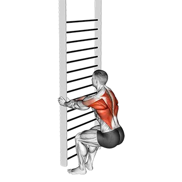 Bodyweight Squatting Row