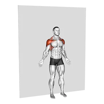 Bodyweight Standing Around World Wall Supported