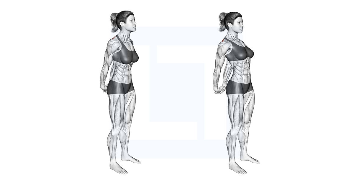 Bodyweight Standing Back Stretch