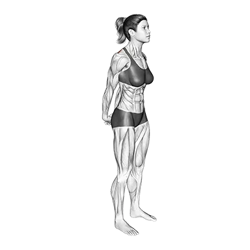 Bodyweight Standing Back Stretch