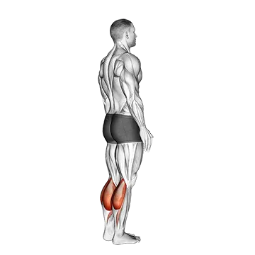 Best Calf Workouts Bodyweight Standing Calf Raise