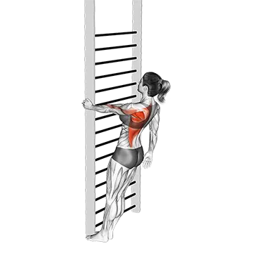 Bodyweight Standing Close Grip One Arm Row
