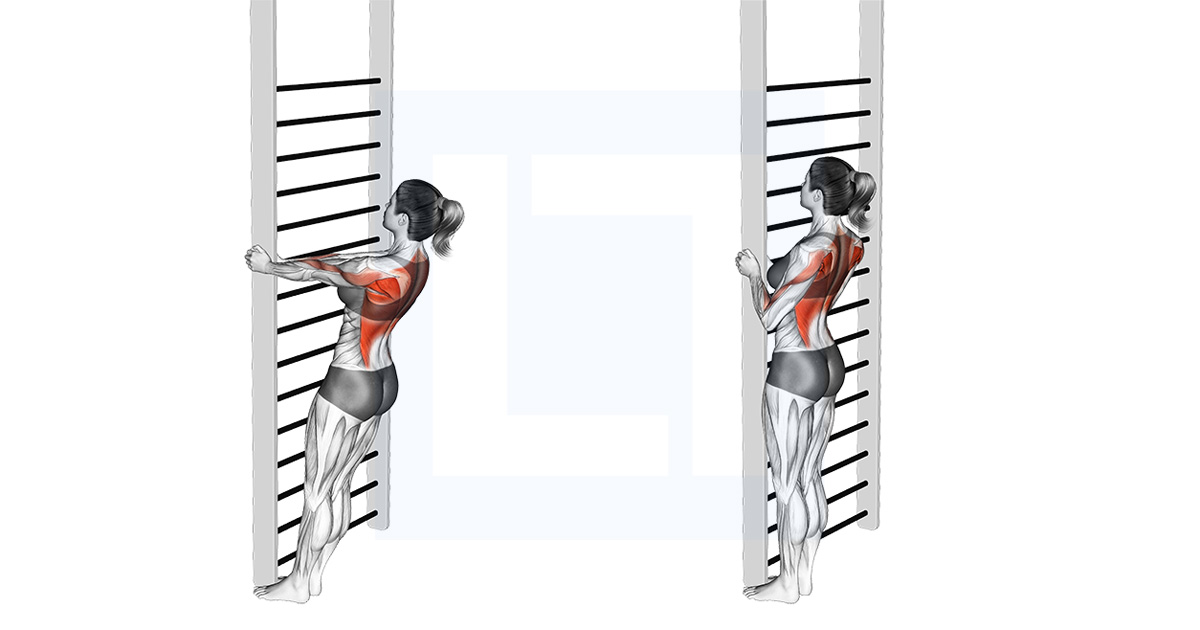 Bodyweight Standing Close Grip Row