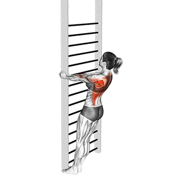 Bodyweight Standing Close Grip Row