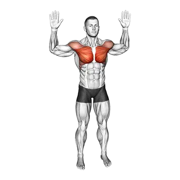 Bodyweight Standing Fly