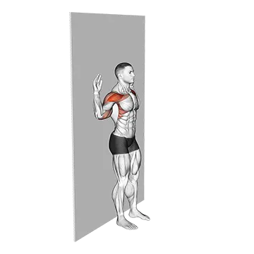Bodyweight Standing Military Press Wall Supported