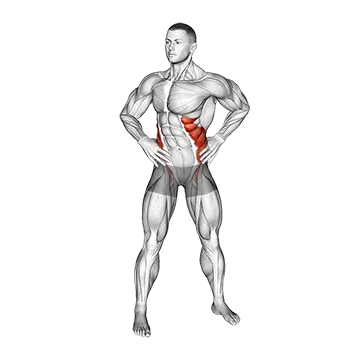 Best Bodyweight Ab Workouts Bodyweight Standing Oblique Twist