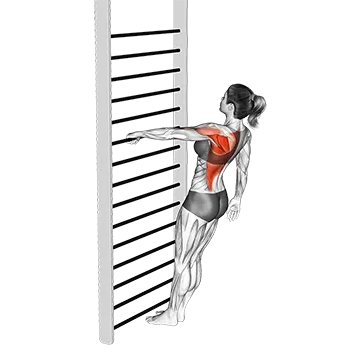 Best Calisthenics Back Workouts Bodyweight Standing One Arm Row