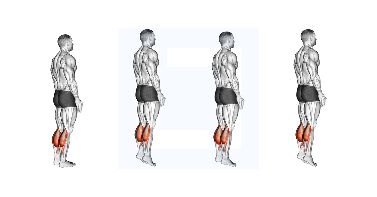 Bodyweight Standing Pulse Calf Raise