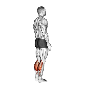 Bodyweight Standing Pulse Calf Raise
