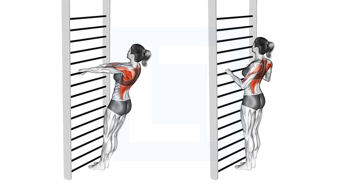 Bodyweight Standing Row