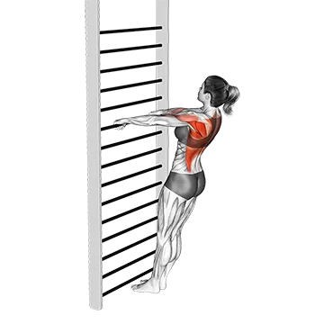Best Full Body Calisthenics Workout Bodyweight Standing Row