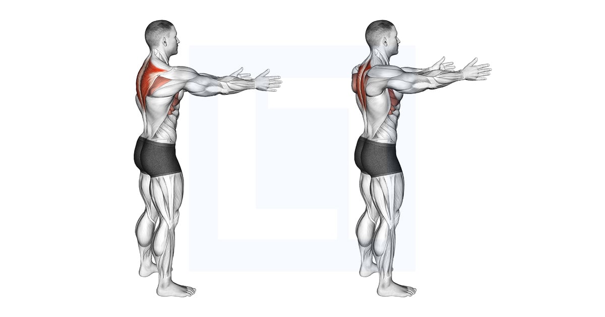Bodyweight Standing Scapula Row