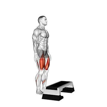 Best Bodyweight Quad Workouts Bodyweight Step Up On Stepbox