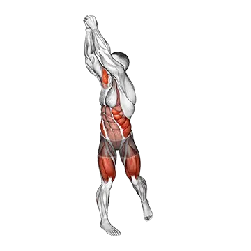 Best Bodyweight Ab Workouts Bodyweight Wood Chop Squat