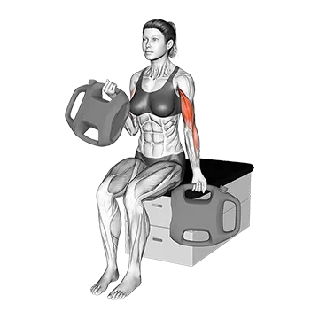 Bottle Weighted Alternate Biceps Curl
