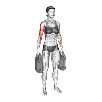 Bottle Weighted Armpit Row