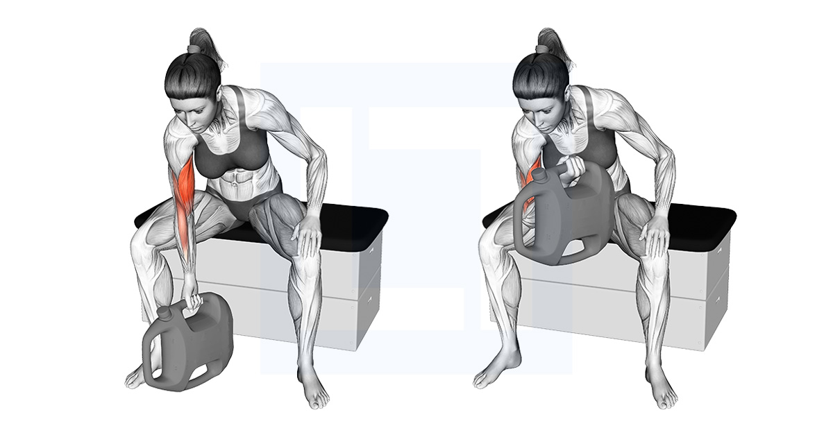 Bottle Weighted Concentration Curl